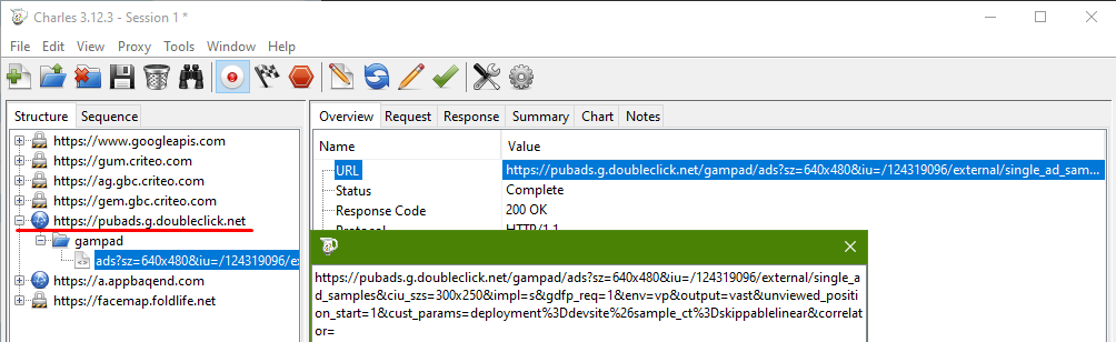 Charles proxy request view